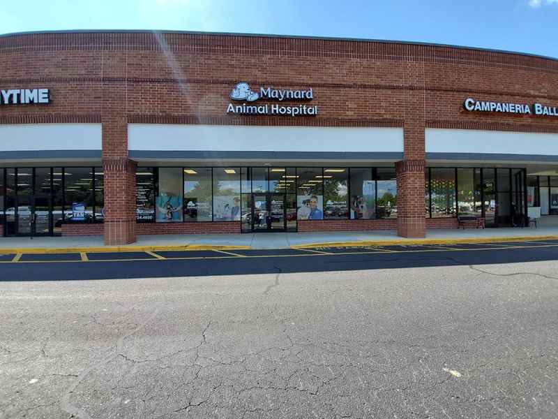 About Maynard Animal Hospital Cary, Apex, Raleigh Vet