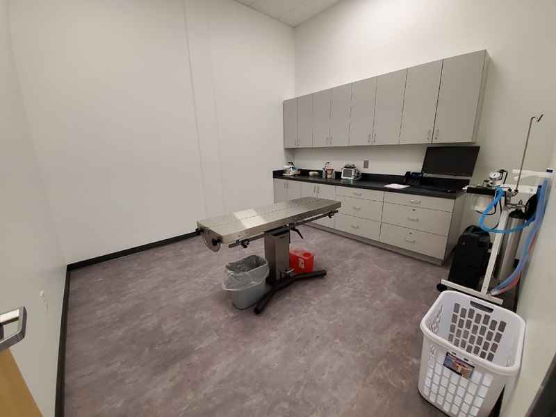 About Maynard Animal Hospital Cary, Apex, Raleigh Vet