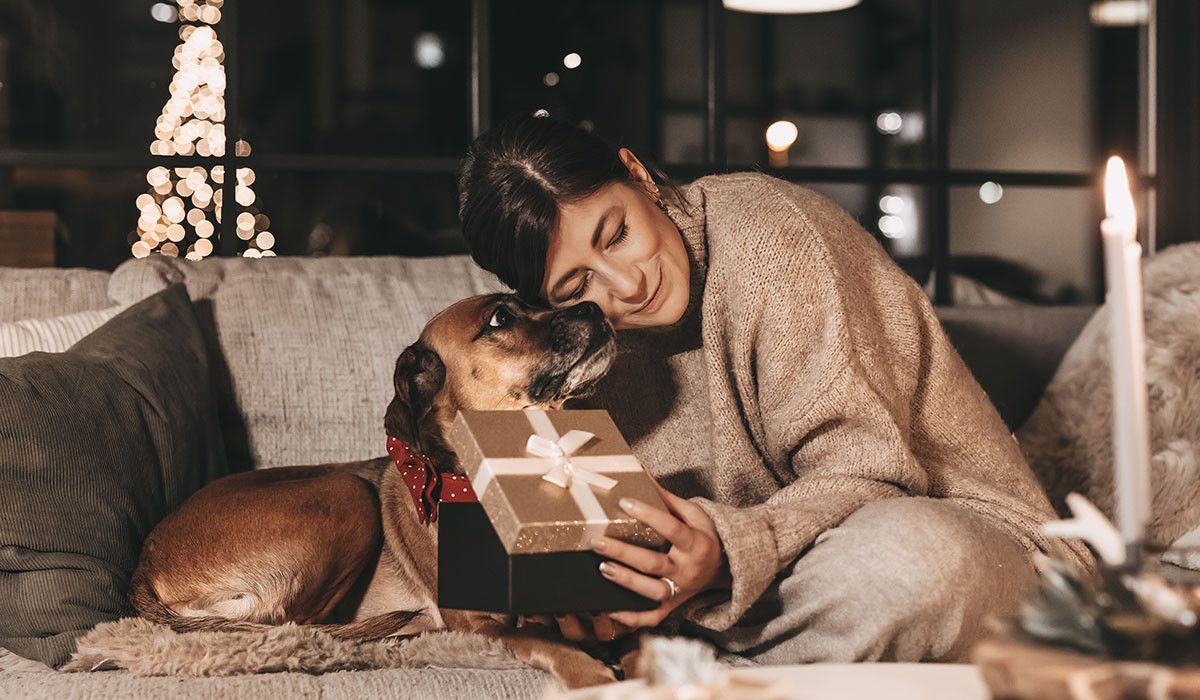 mixed-dog-holiday-health-celebration