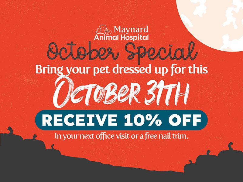 Bring your pet dressed up for Halloween receive10% off your next office visit or a free nail trim.